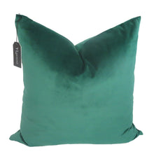 Load image into Gallery viewer, Forest