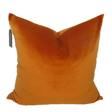 Load image into Gallery viewer, Ginger