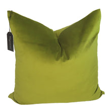 Load image into Gallery viewer, Olive